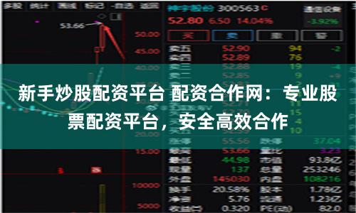 新手炒股配资平台 配资合作网：专业股票配资平台，安全高效合作