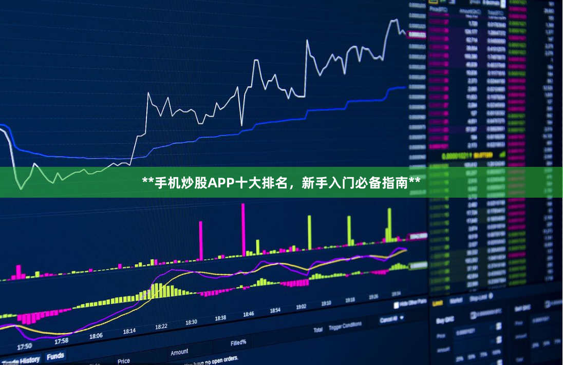 **手机炒股APP十大排名，新手入门必备指南**